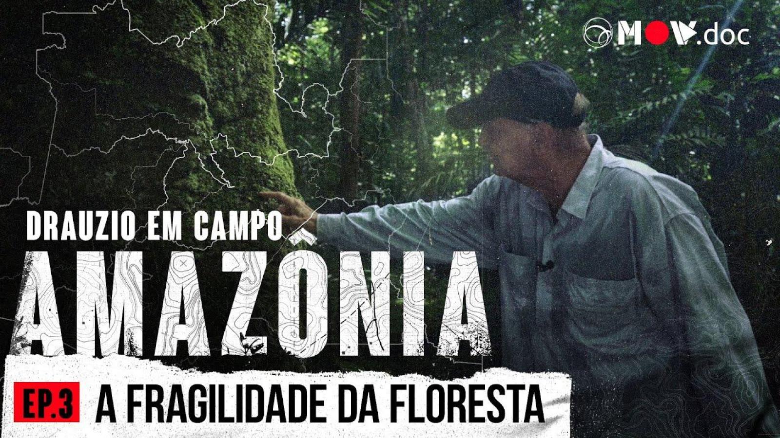 Do Desmatamento Ilegal À Preservação Da Floresta | Drauzio Em Campo: Amazônia